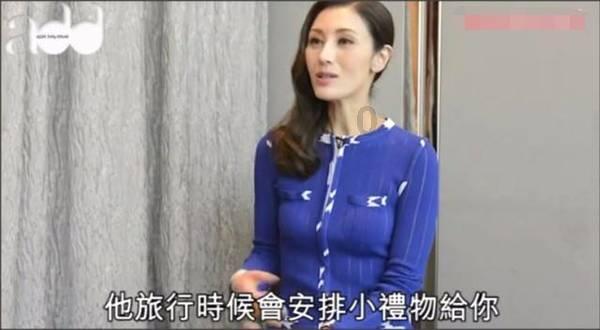 破碎的动物图形3